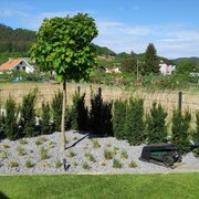 Okrasná výsadba a stromi v súkromnej záhrade