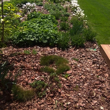 Okrasná záhrada výsadba