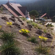 Realizácia okrasnej záhrady do svahu
