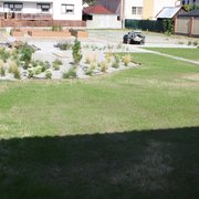 Realizácia trávnika a výsadby v záhrade