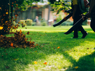 Starostlivosť a údržba záhrady na jeseň