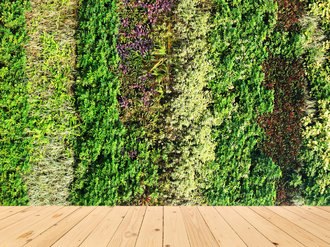 Trend modernej domácnosti a terasy: Záhrada na stenu
