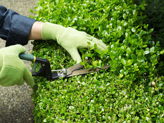 Údržba záhrady a zelene - vieme ako na to