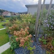Vidiecka okrasná záhrada - Realizácie záhrad - Zahrady.sk