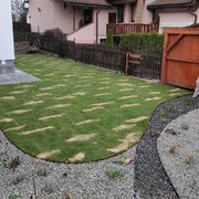 Založenie trávnika - trávnikový koberec