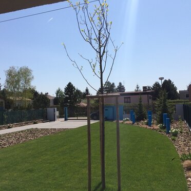 Založenie záhrady a výsadba