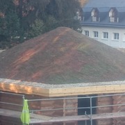 Zelená strecha realizácia