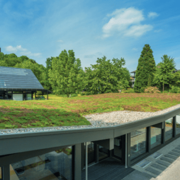 Zelené strechy URBANSCAPE - od Záhrady